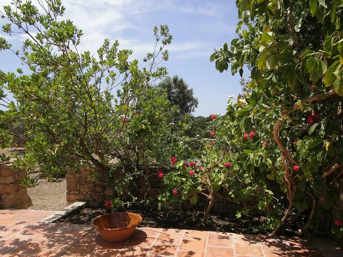 Casa Andrea Pensionat San Francisco Javier