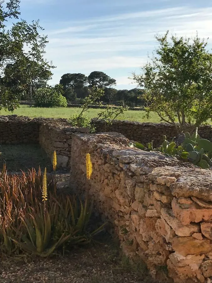 Casa Andrea Pensionat San Francisco Javier
